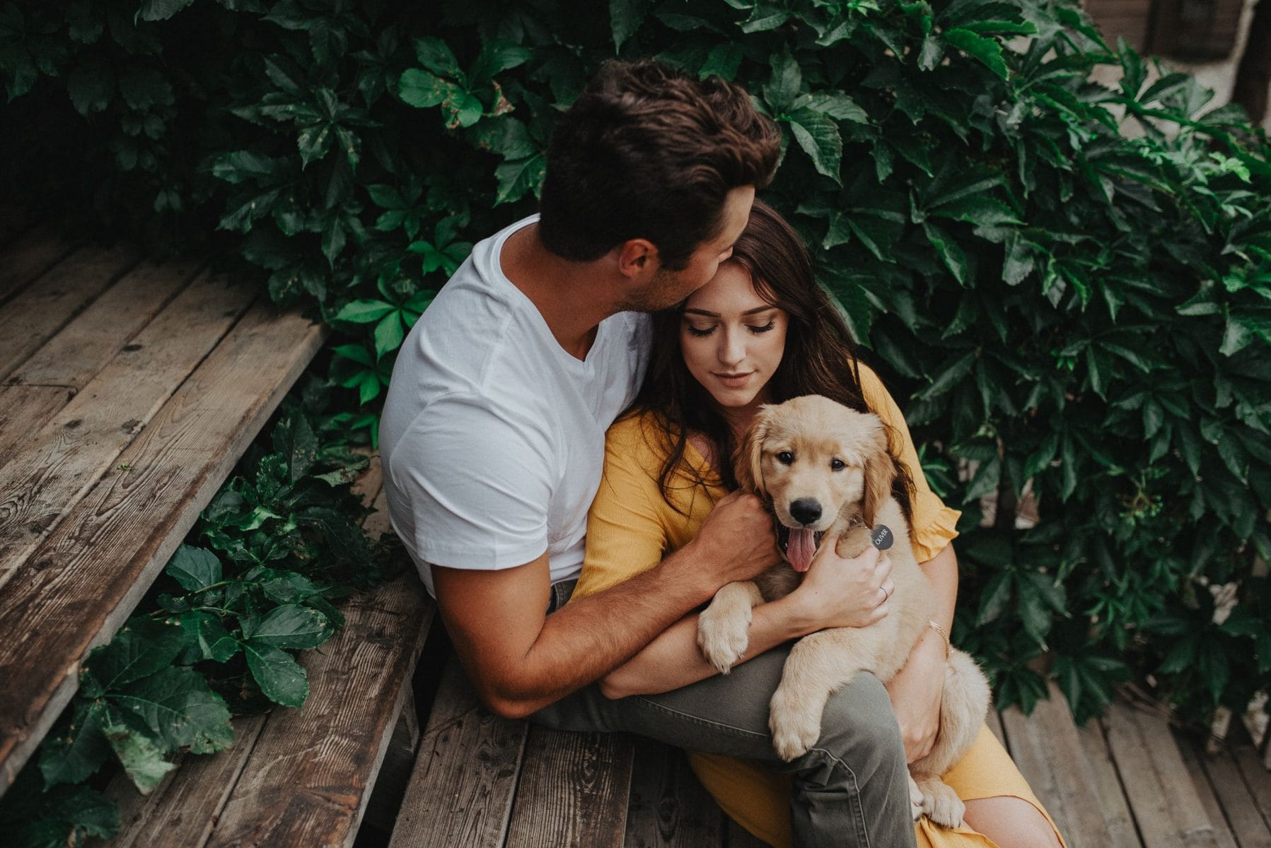 Pre-wedding shoot with furry Buddies